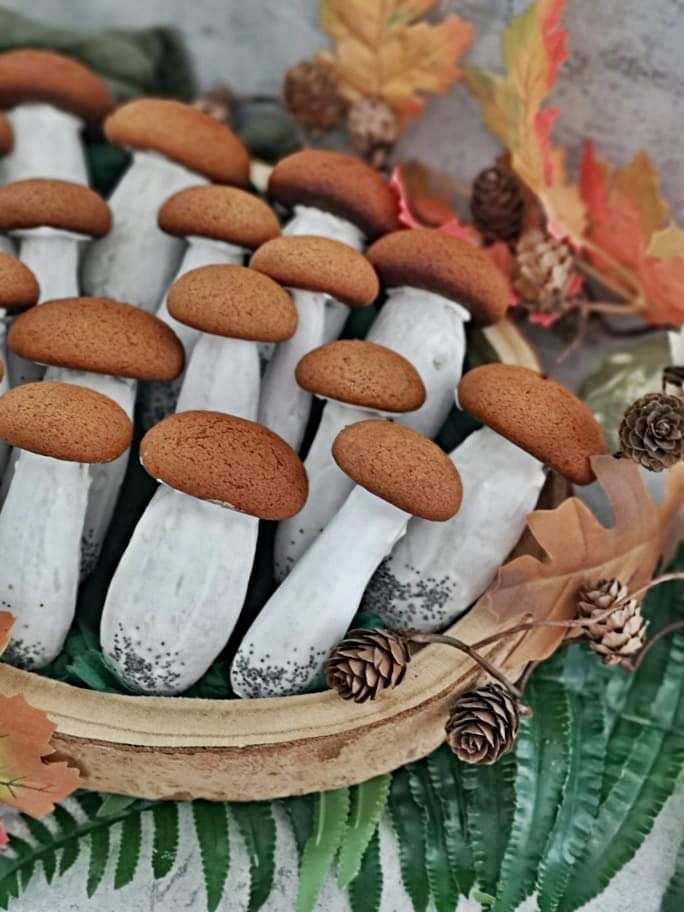 PRZEPIĘKNE borowiki prezent Pani Ani OPIELA na „zielone lekcje” – DZIĘKUJEMY!!!