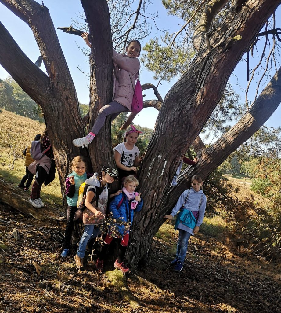 AKTYWNA EDUKACJA czyli ZIELONA SZKOŁA 2021