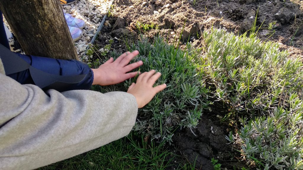 DZIEŃ ZIEMI w grupie Mrówek :)