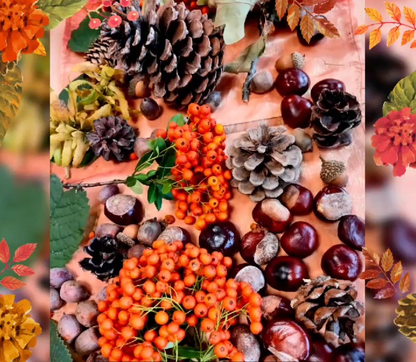 Przyszła Pani Jesień- Złota Polska Jesień!