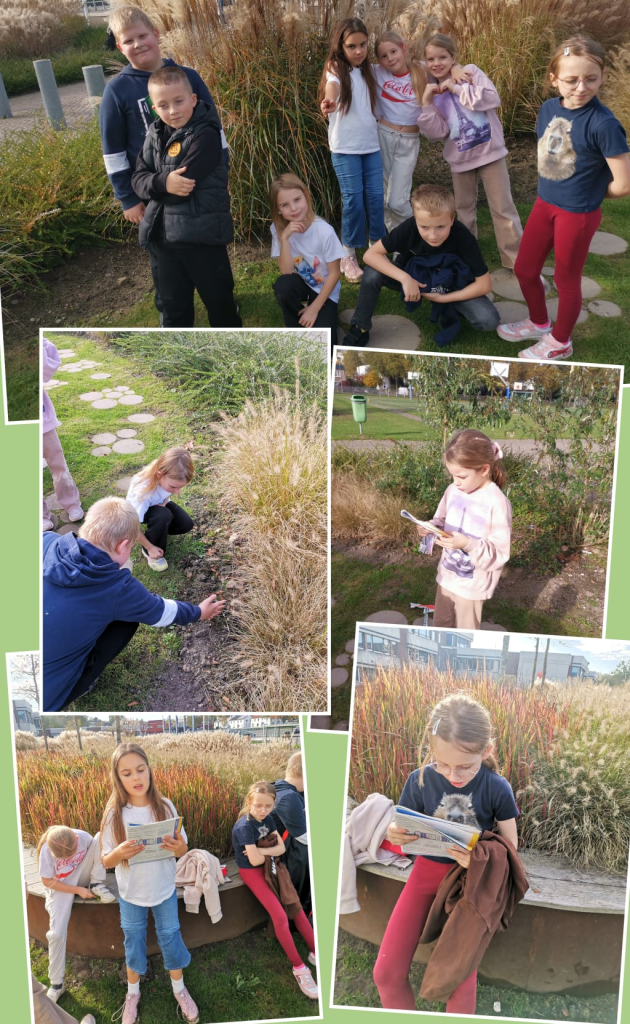 Klasa 3 B czyta teksty o jesieni w promieniach jesiennego słońca :)