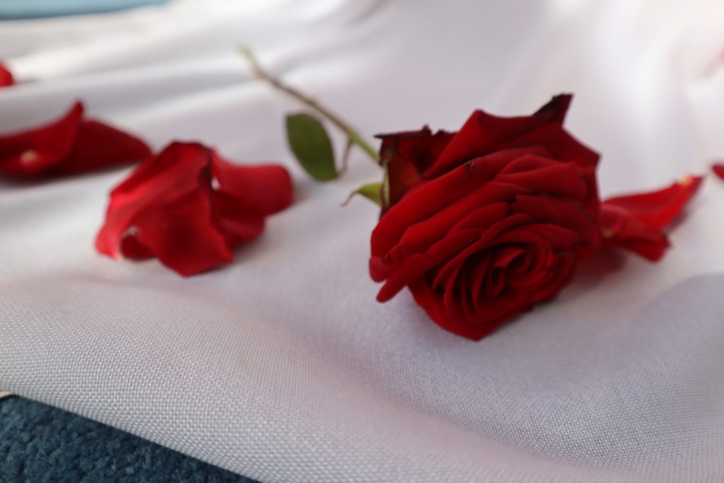 Katyń – ocalić od zapomnienia